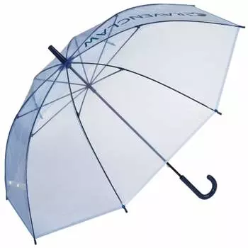 Зонт Skater Vinyl Umbrella Длинный зонт 60 см Гарри Поттер Волшебный мир Ravenclaw UBV1N-A