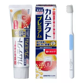 Зубная паста Camtect Premium Gum Care для профилактики заболеваний пародонта 105 г, в комплекте зубная щетка [квази-лекарство] (Гингивит/альвеолярная пиорея) +