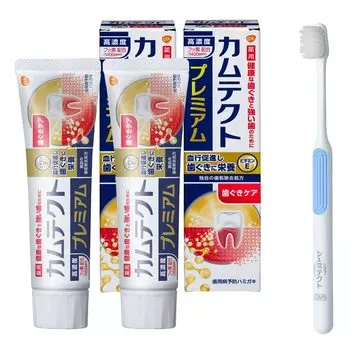 Зубная паста Camtect Premium Gum Care для профилактики заболеваний пародонта 105 г 2 флакона с зубной щеткой [квази-лекарство] (гингивит/альвеолярная пиорея) +
