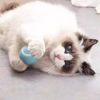 Зубные жевательные игрушки для собак Molar Dog Dental Chews, автоматически дразнящие кошек, устойчивые к укусам щенков, игрушки для кошек, мяч для домашних животных, игрушки для собак и кошек, интеллектуальные синий