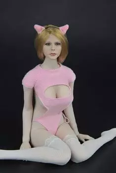 ZYTOYS ZY5027B Красивый сексуальный женский комплект одежды для кошки для фигурки и головы, не [TOYBARJAPAN] 1/6 (Тело включено)