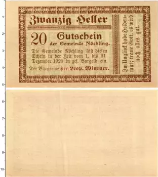 Банкнота 20 геллеров Австрии 1920 года Нёхлинг