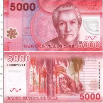 Банкнота 5000 песо Чили 2011 года Габриэла Мистраль