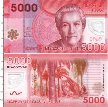 Банкнота 5000 песо Чили 2016 года Пластик Габриэла Мистраль