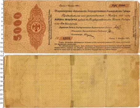 Банкнота 5000 рублей Гражданской войны 1919 года Государственное казначейство Сибири