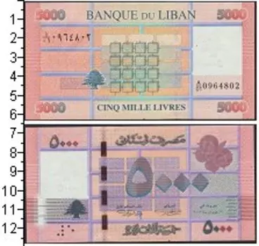 Банкнота 5000 ливр Ливана 2014 года