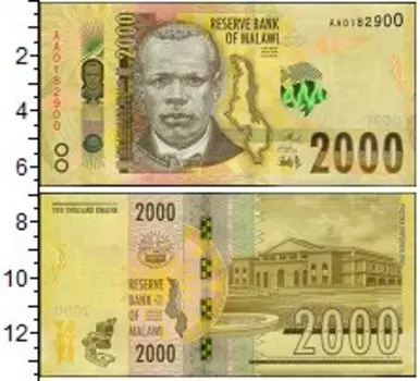 Банкнота 100 динар Малави 2000 года 2000 Квачи