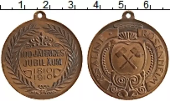 Медаль Германии 1910 года Бронза 100 лет Розенхайму