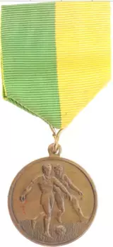 Медаль Швеции 1978 года Бронза Гётеборг