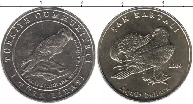 Монета лира Турции 2009 года Медно-никель Ястреб