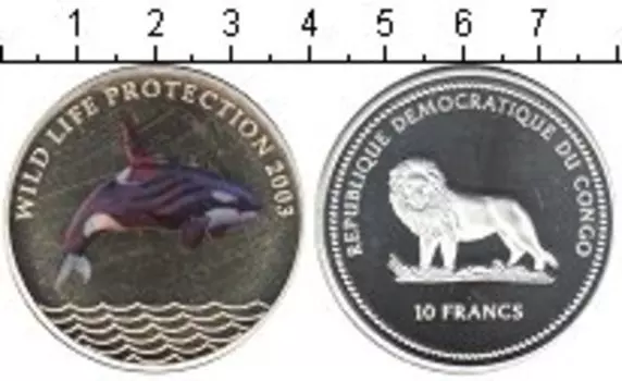 Монета 10 франков Конго 2003 года Серебро Касатка – это черно-белое морское млекопитающее семейства дельфиновых