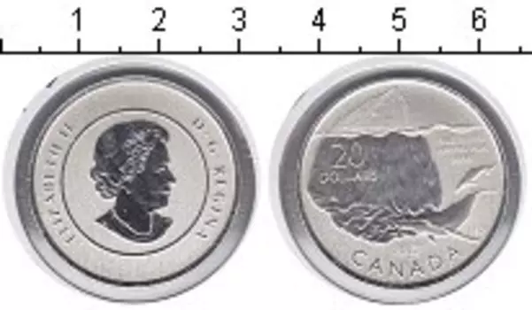 Монета 20 долларов Канады 2013 года Серебро Елизавета II