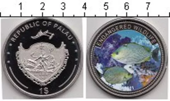 Монета доллар Палау 2011 года Медно-никель Подводная жизнь