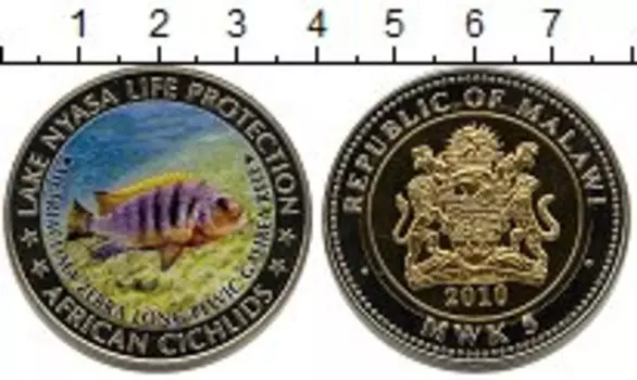 Монета 5 квач Малави 2010 года Биметалл Озеро Ньяса