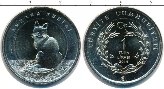 Монета лира Турции 2015 года Биметалл Ангорская кошка
