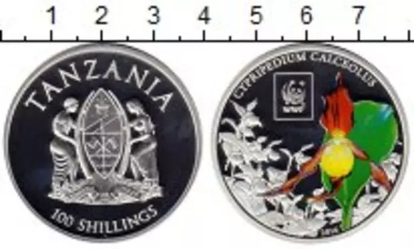 Монета 100 шиллингов Танзании 2016 года Посеребрение WWF