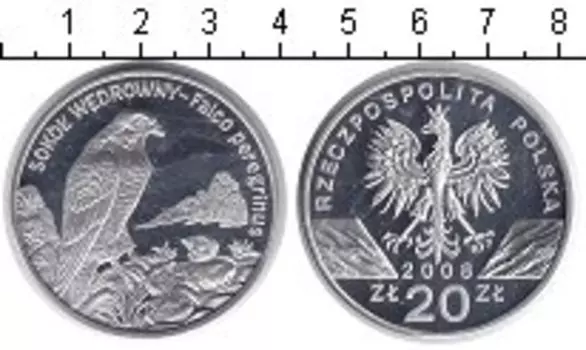 Монета 20 злотых Польши 2008 года Серебро Сокол