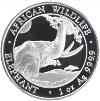 Монета 100 шиллингов Сомали 2023 года Серебро Слон