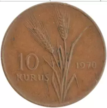 Монета 10 куруш Турции 1970 года Бронза Флора