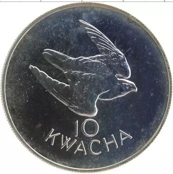 Монета 10 квач Замбии 1979 года Серебро Сохранение животного мира