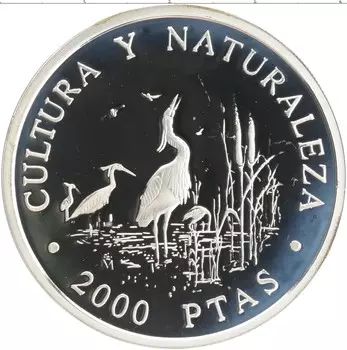 Монета 2000 песет Испании 1994 года Серебро Культура и Природа