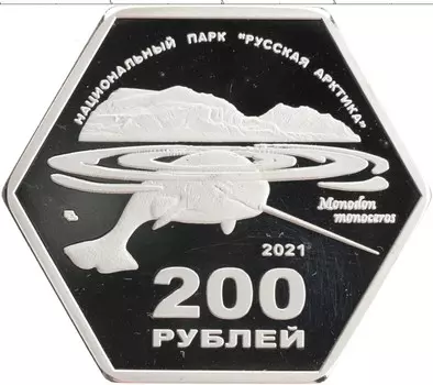 Монета 200 рублей России 2021 года Посеребрение UNUSUL