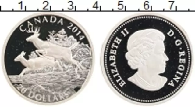 Монета 20 долларов Канады 2014 года Серебро Олени