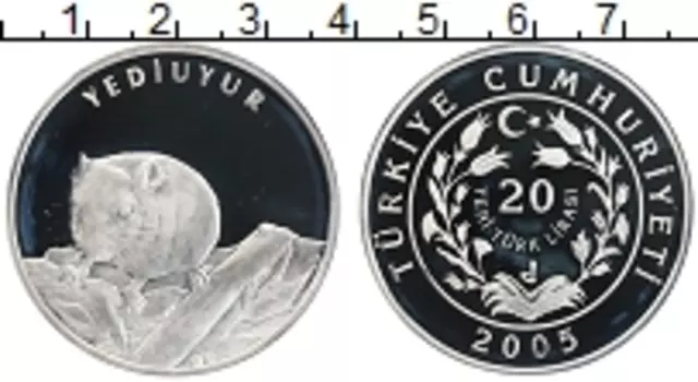 Монета 20 лир Турции 2005 года Серебро Защита природы