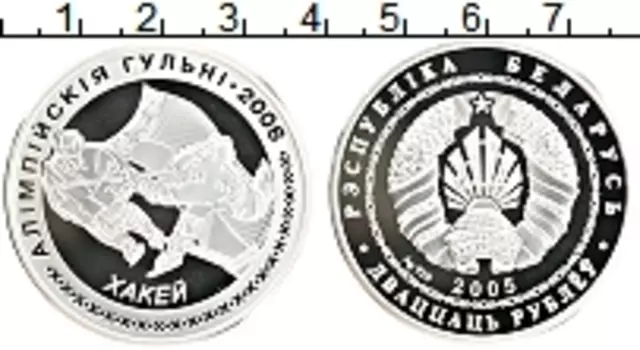 Монета 20 рублей Беларуси 2005 года Серебро Олимпийские игры 2006