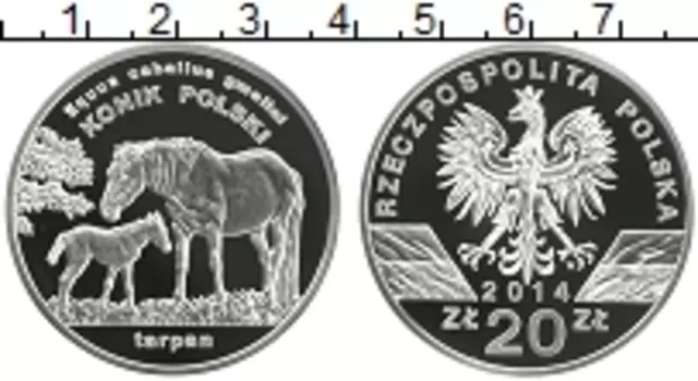 Монета 20 злотых Польши 2014 года Серебро Тарпан