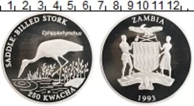 Монета 250 квач Замбии 1993 года Серебро Сохранение животного мира