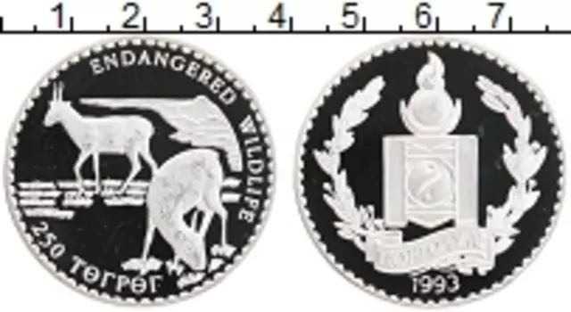 Монета 250 тугриков Монголии 1993 года Серебро Сохранение животного мира
