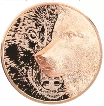 Монета 250 тугриков Монголии 2021 года Медь Волк (Вес 50 гр