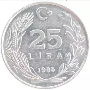 Монета 25 лир Турции 1985 года Алюминий
