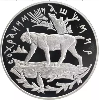 Монета 25 рублей России 1995 года Серебро Сохраним наш мир - Рысь