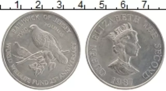 Монета 2 фунта Острова Джерси 1987 года Медно-никель 25 лет фонда охраны дикой природы