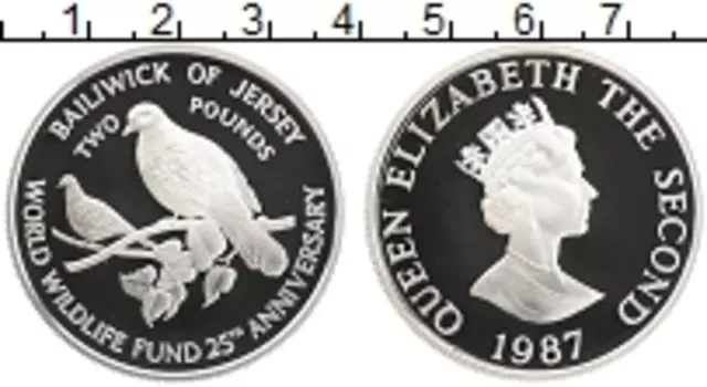 Монета 2 фунта Острова Джерси 1987 года Серебро 25 лет WWF