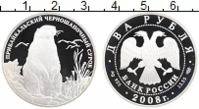 Монета 2 рубля России 2008 года Серебро Прибайкальский черношапочный сурок