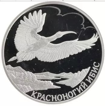 Монета 2 рубля России 2019 года Серебро Красная книга - Красноногий ибис