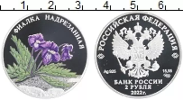 Монета 2 рубля России 2022 года Серебро Красная книга - Фиалка надрезанная