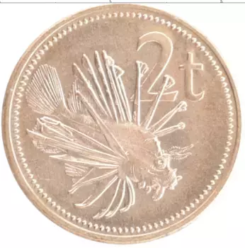 Монета 2 тоа Папуа-Новой Гвинеи 2002 года Бронза