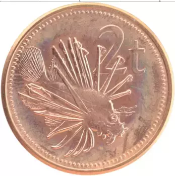 Монета 2 тоа Папуа-Новой Гвинеи 2004 года Бронза