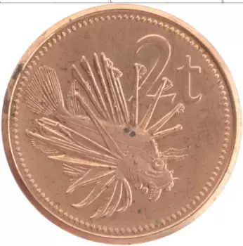 Монета 2 тоа Папуа-Новой Гвинеи 2004 года Бронза