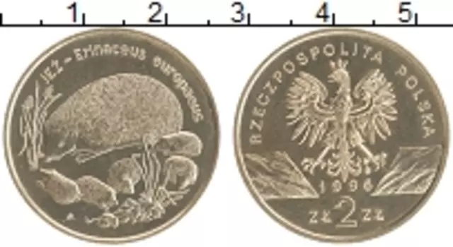 Монета 2 злотых Польши 1996 года Латунь Всемирная природа - Ёж