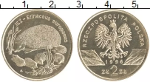 Монета 2 злотых Польши 1996 года Латунь Всемирная природа - Ёж