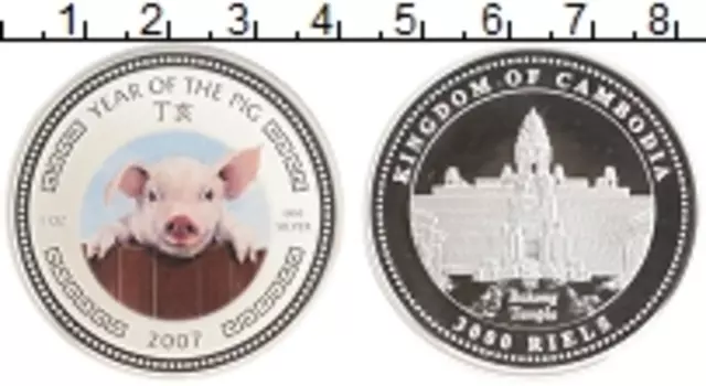 Монета 3000 риель Камбоджи 2007 года Серебро Цветная