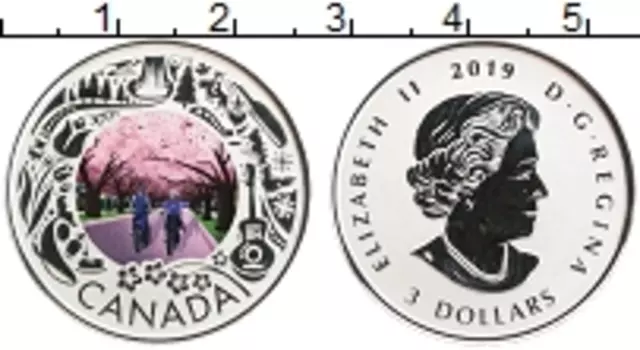 Монета 3 доллара Канады 2019 года Серебро Канадский фестиваль