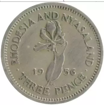 Монета 3 пенса Родезии 1956 года Медно-никель Елизавета II