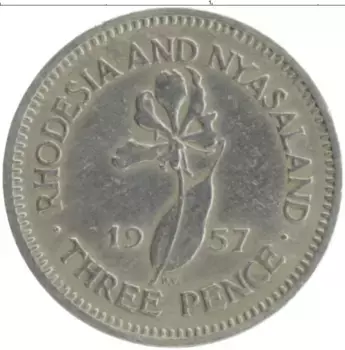 Монета 3 пенса Родезии 1957 года Медно-никель Елизавета II