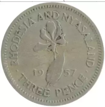 Монета 3 пенса Родезии 1957 года Медно-никель Елизавета II